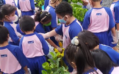 PROYEK P5  “GO GREEN SCHOOL”